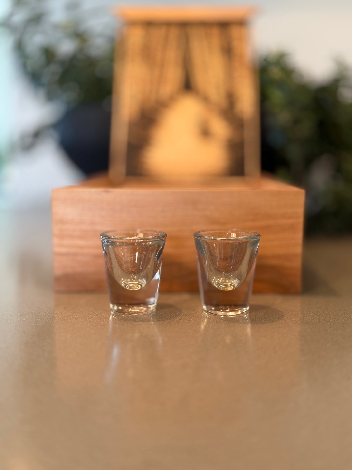 Birch Box Shot Glass Set