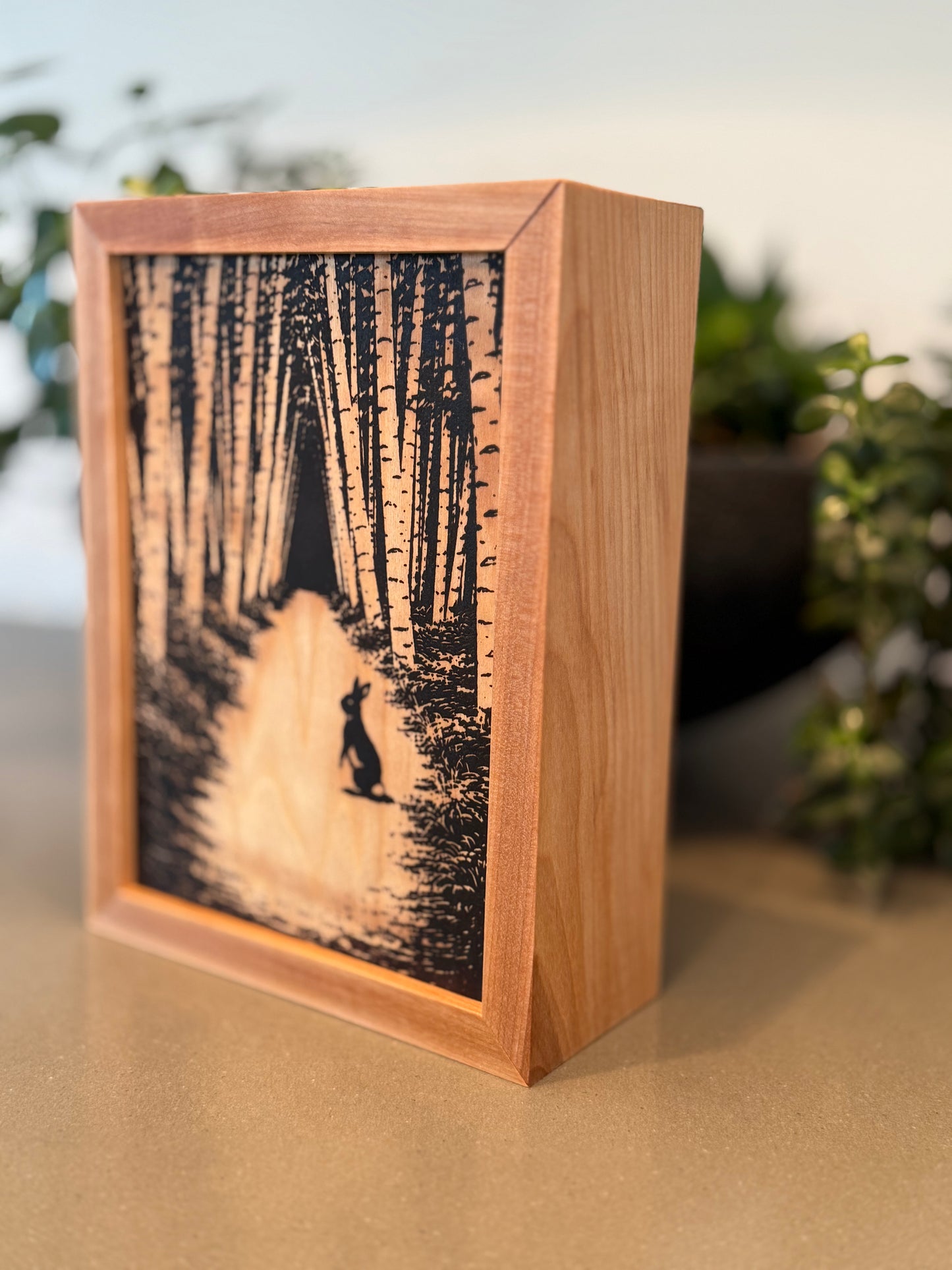 Birch Box Shot Glass Set