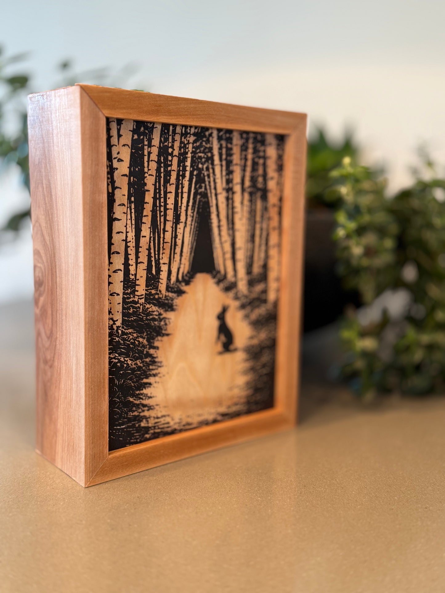 Birch Box Shot Glass Set